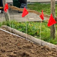 Forschungsprojekt &quot;Nachhaltige Begrünung&quot;